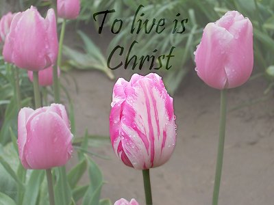 To live is Christ (Philippians 1:21)