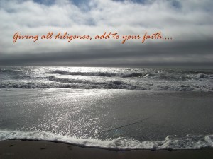 Giving all diligence, add to your faith (2 Peter 1:5)