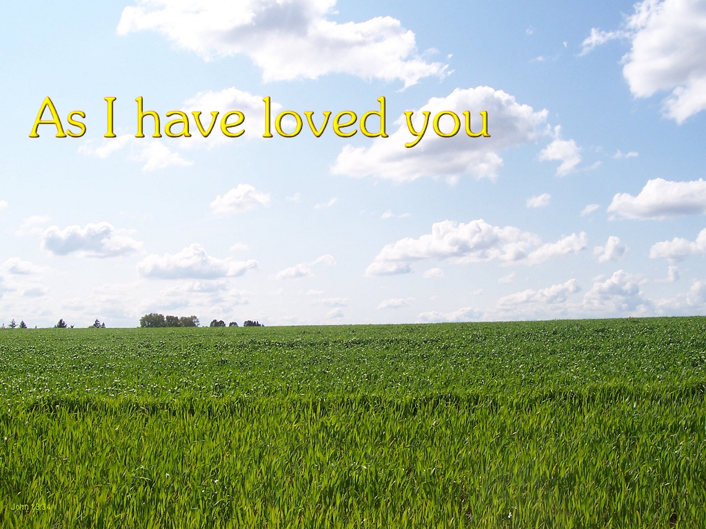 as I have loved you (John 13:34; 15:12)