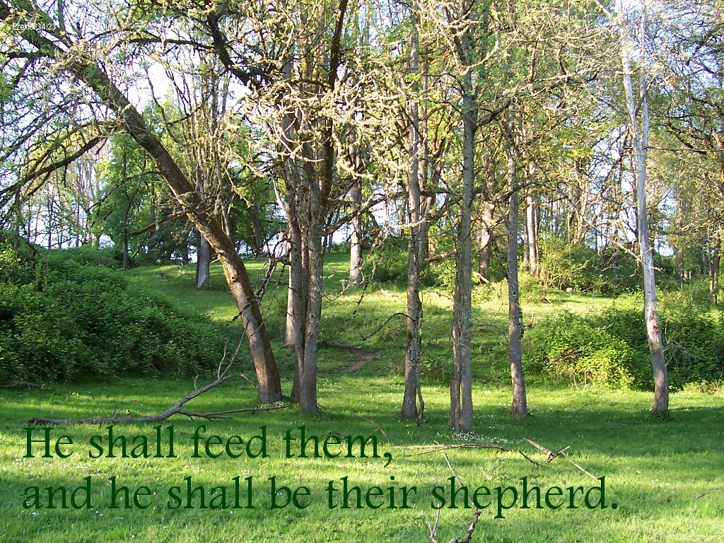 He shall feed them, and he shall be their shepherd (Ezekiel 34:23)