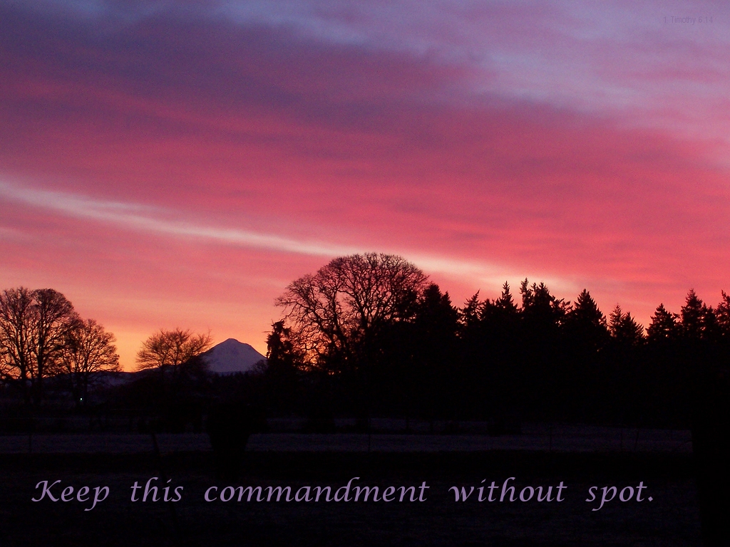 Keep this commandment without spot (1 Timothy 6:14)
