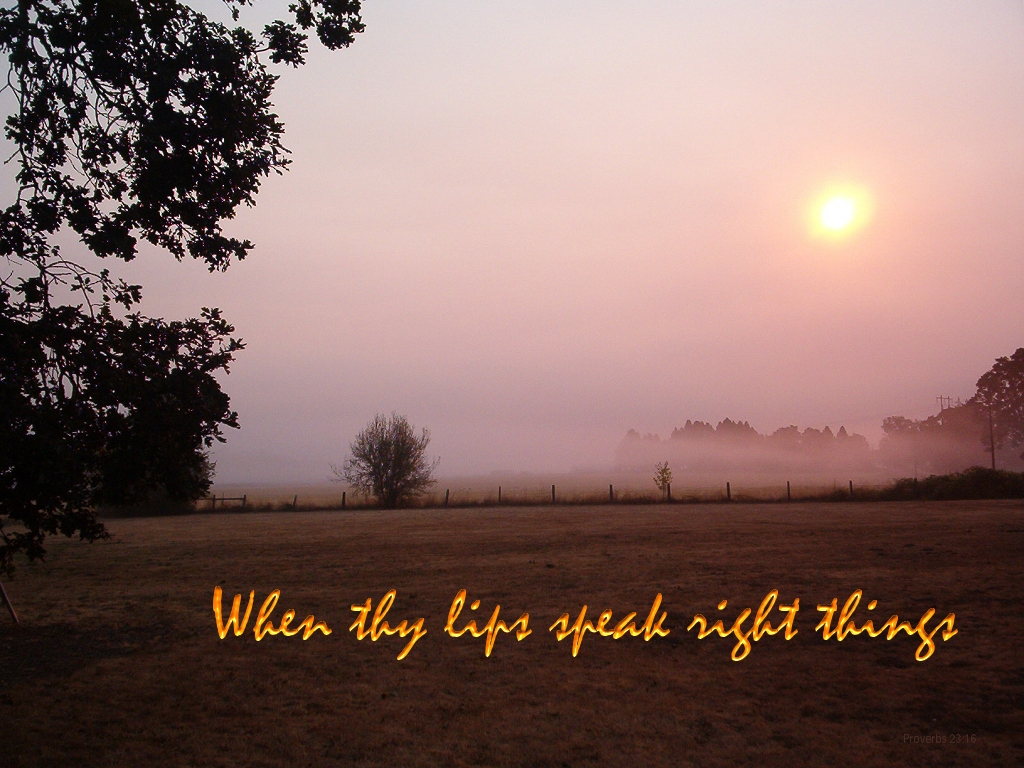 When thy lips speak right things (Proverbs 23:16) -- training children for God leads to this