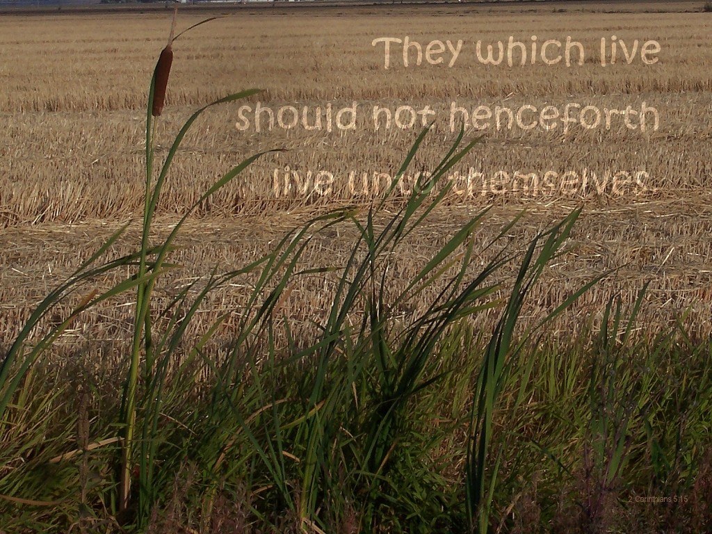 Should not henceforth live unto themselves (2 Corinthians 5:15)