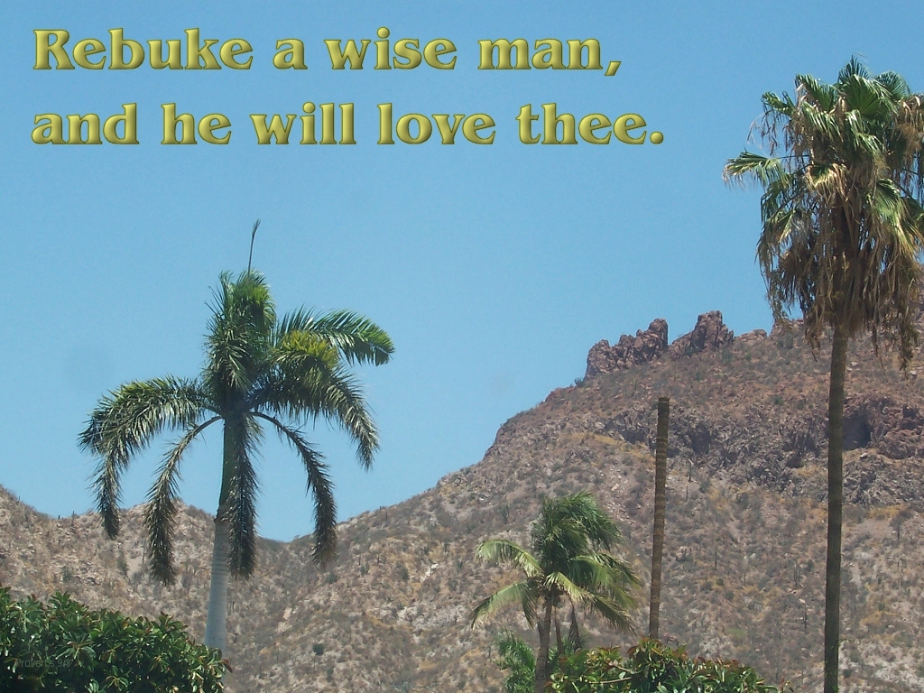 Sound church administration: Rebuke a wise man, and he will love thee (Proverbs 9:8)