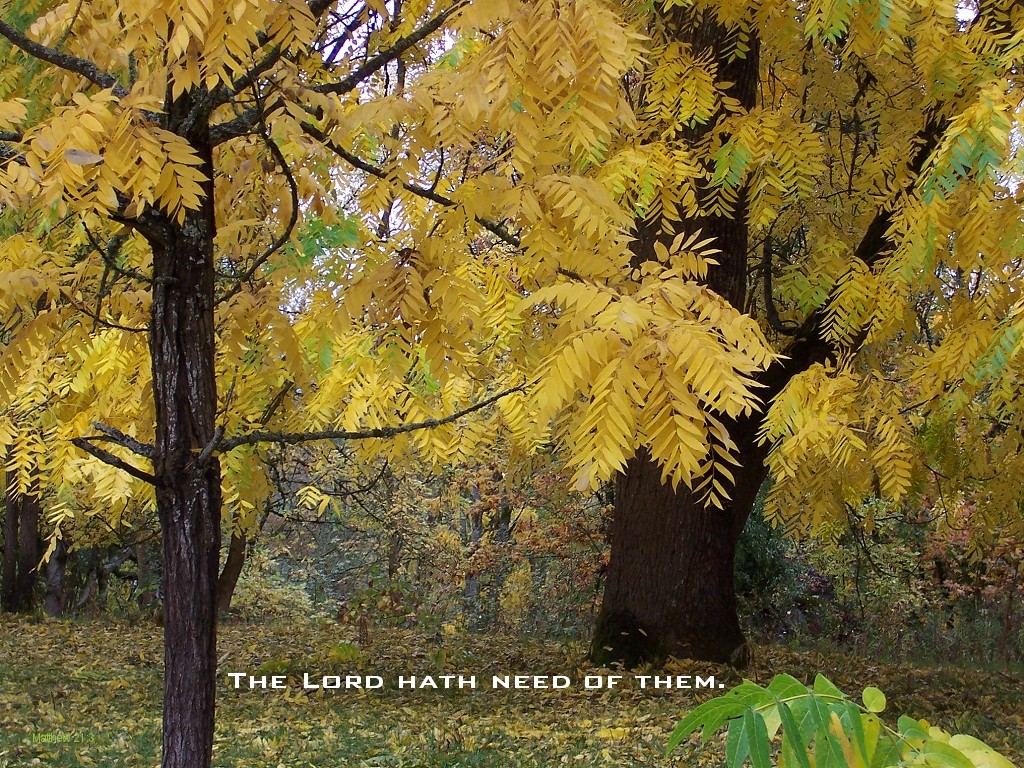 The Lord hath need of them (Matthew 21:3)