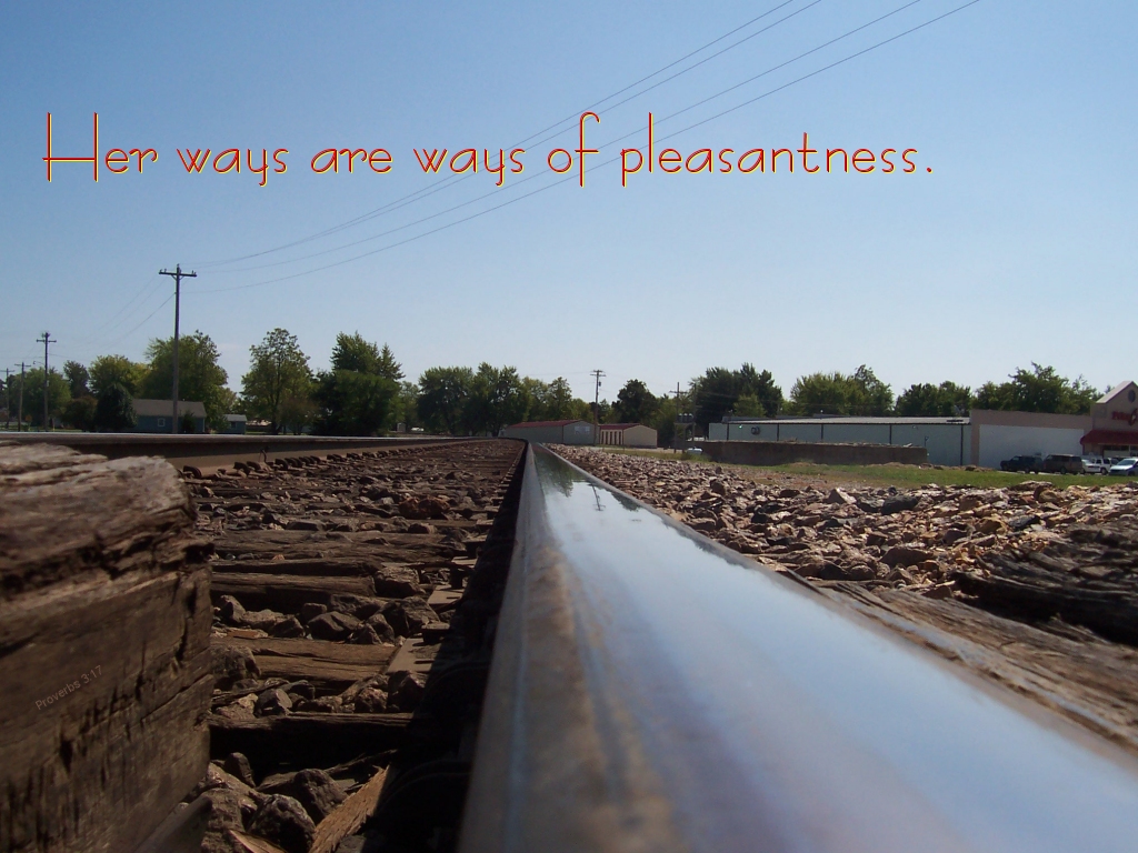 Ways of pleasantness are part of the worth of wisdom