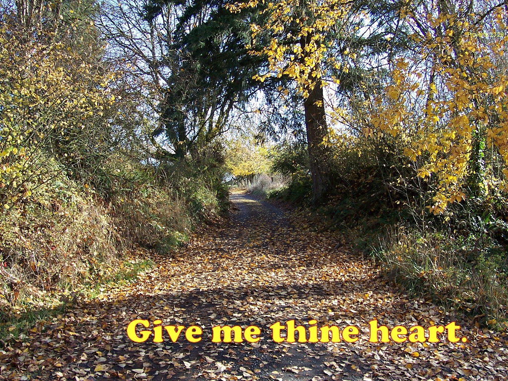 Give me thine heart (Proverbs 23:26)