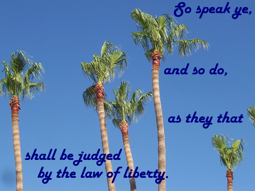 So speak ye, and so do, as they that shall be judged by the law of liberty (James 2:12).