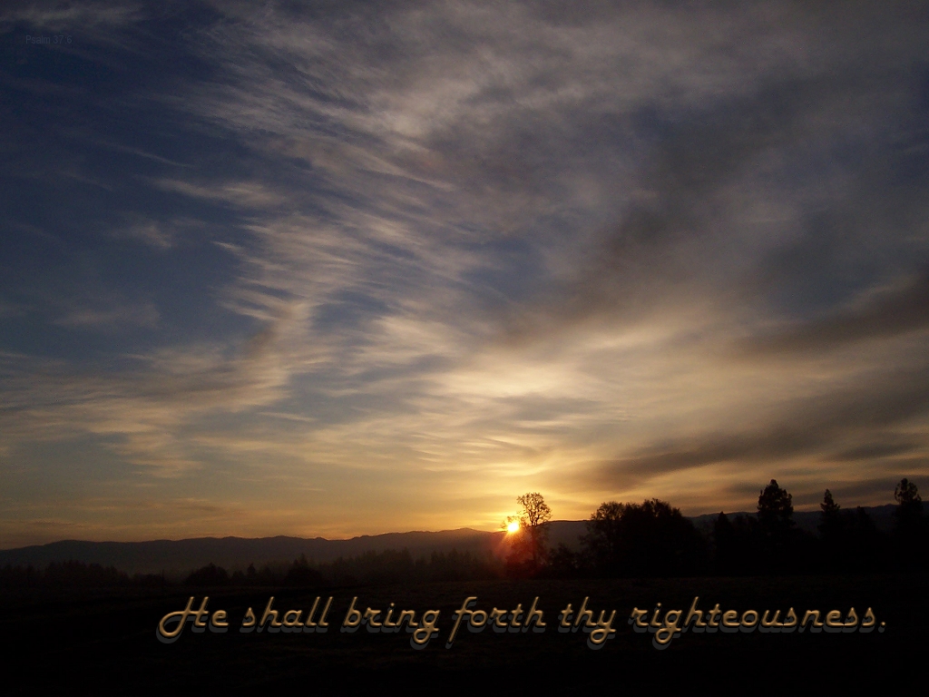 And he shall bring forth thy righteousness as the light (Psalm 37:6)